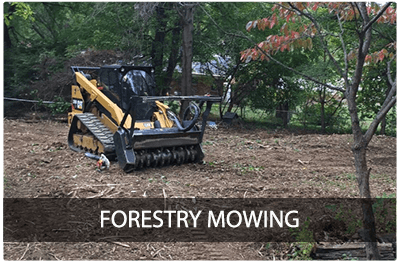 Forestry Mowing & Mulching by Ryex Services